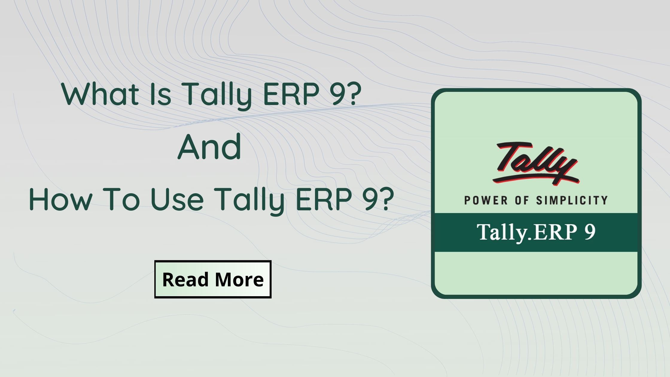 tally erp